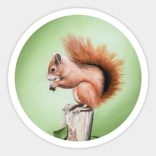 Red Squirrel Painting Sticker